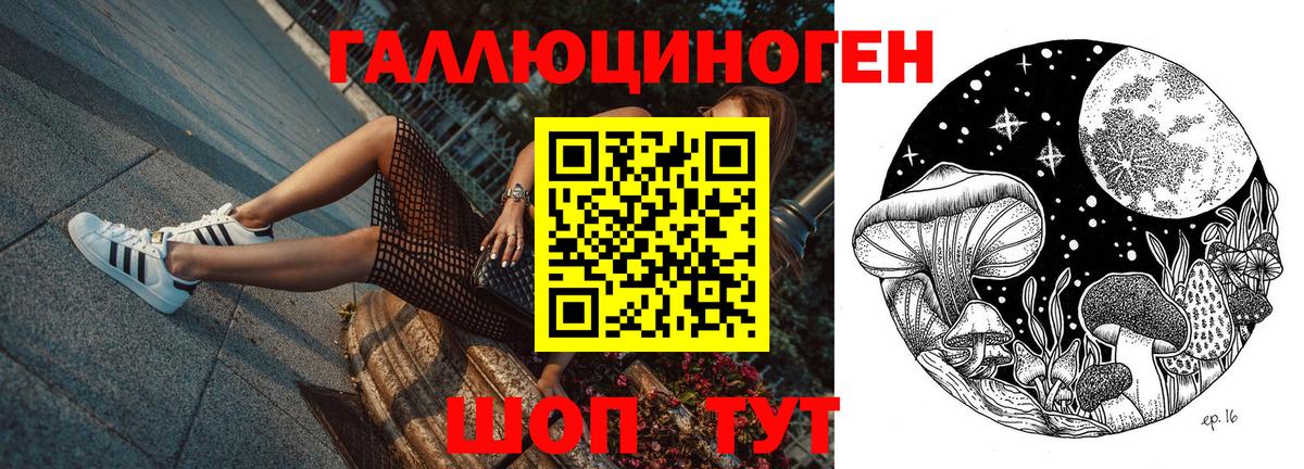 Галлюциногенные грибы ЛСД  Гусиноозёрск 