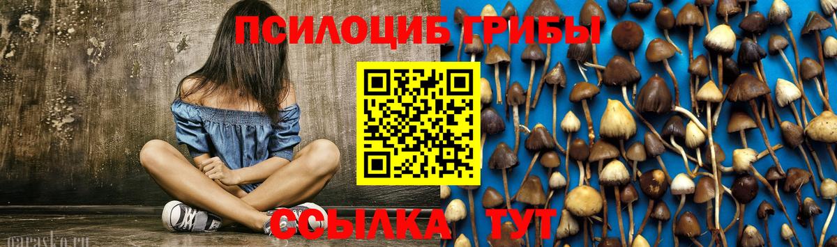 Гусиноозёрск  Галлюциногенные грибы мицелий  Вход с VPN 